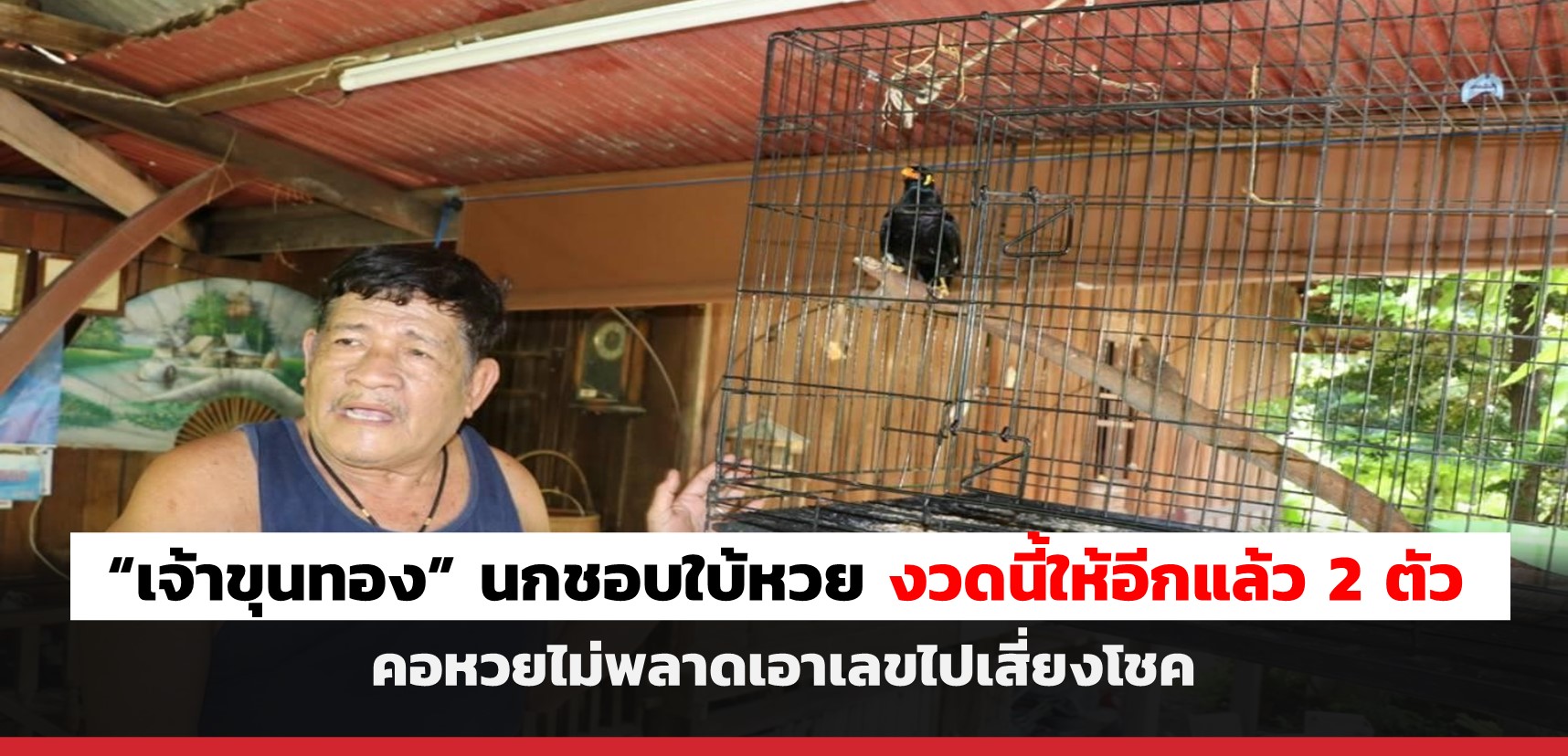 superhuay-“ เจ้าขุนทอง ” นกชอบใบ้หวย งวดนี้ให้อีกแล้ว 2 ตัว คอหวยไม่พลาดเอาเลขไปเสี่ยงโชค superhuay-“ เจ้าขุนทอง ” นกชอบใบ้หวย งวดนี้ให้อีกแล้ว 2 ตัว คอหวยไม่พลาดเอาเลขไปเสี่ยงโชค
