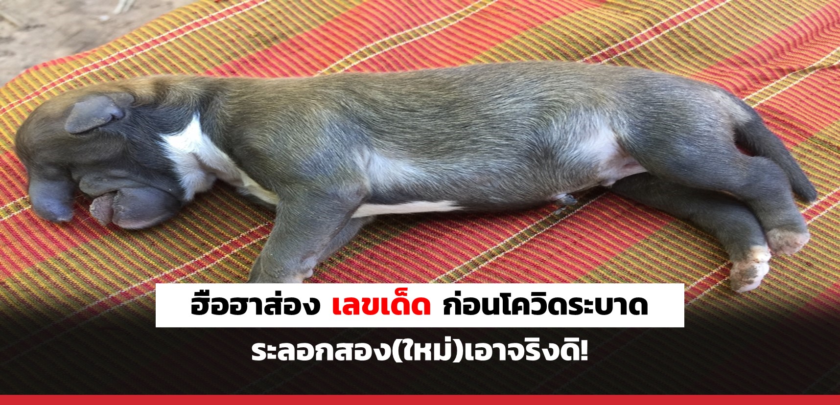 superhuay-ฮือฮาส่อง เลขเด็ด ก่อนโควิดระบาดระลอกสอง(ใหม่)เอาจริงดิ! superhuay-ฮือฮาส่อง เลขเด็ด ก่อนโควิดระบาดระลอกสอง(ใหม่)เอาจริงดิ!